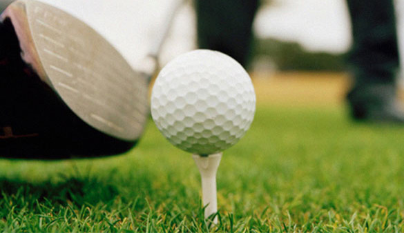 carte-verte carte verte golf