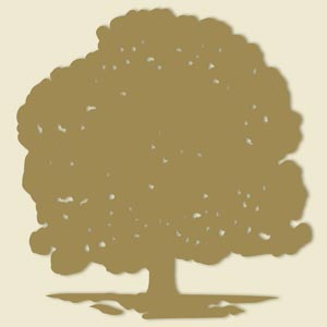arbre-or-global club privé paris