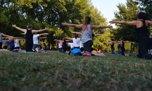 exercices remise en force