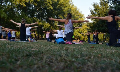 exercices remise en force